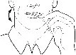 Schematic drawing showing the neck and shoulder area of a person with arrows indicating head movement toward the