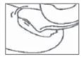 Disegno schematico in bianco e nero che mostra una sezione anatomica di un'articolazione con ossa, cartilagine e tessuti circostanti