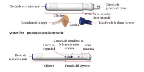 Technical diagram of an Avonex injector with labels indicating blue button, cylinder, capsule, protection, needle, and viewing window