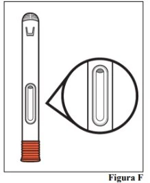 Technical drawing of a cylindrical medical device with an oval viewing window, magnified in a circle to show internal details