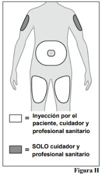 Human body diagram with white areas on the upper arm, abdomen, and thigh indicating injection sites