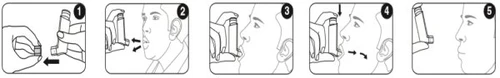 Sequence of five numbered illustrations showing how to insert the