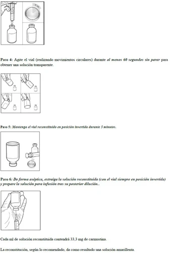 Diagram with illustrated steps showing how to shake the vial with circular motions and keep it inverted for 5 minutes