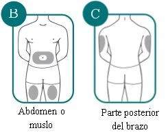 Diagrammi medici che mostrano le zone di iniezione: addome, cosce e parte posteriore delle braccia su sagome umane stilizzate con etichette B e C