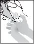 Two hands holding and manipulating a medicine vial above a stylized drawing of blood vessels and arteries