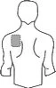Stylized drawing of a man's torso with a gray circle indicating the drug application site on the upper right shoulder