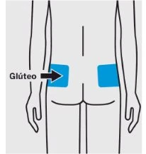 Diagramma del corpo umano visto di schiena con due aree blu sui glutei e una freccia nera che indica il gluteo sinistro con la scritta Glúteo