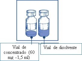 Drawing of two glass vials with liquid, one labeled as a 60 mg - 1.5 ml concentrate vial and the