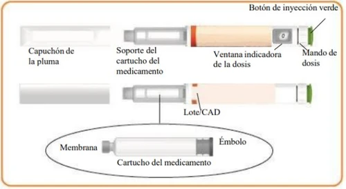 Diagram of an injection pen with labeled parts: cap, cartridge holder, dose window, dose button, lot, membrane, and plunger