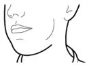 Disegno a linee nere che mostra il profilo inferiore di un volto umano con labbra, mento, naso e la linea del collo e della mandibola