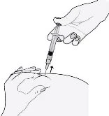 A hand holding a syringe with the needle pointed toward the skin of the buttock while