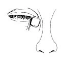 Disegno a linee nere di un volto umano visto di profilo che mostra l'occhio