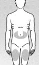 Schematic drawing of a male human body with gray highlighted areas on the torso
