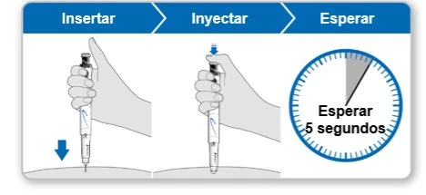 Diagram with three phases: insert the