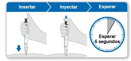 Diagram with three phases: insert the