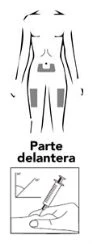 Schematic drawing of a human body with areas