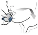 Disegno schematico di una mano che inserisce un dispositivo medico nella bocca di una persona vicino alle labbra e ai denti
