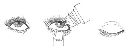 Disegno lineare che mostra l