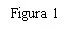 Black text on white background reading 'Figure 1' in serif font