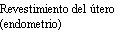Black text on white background reading 'Uterine lining (endometrium)' in Spanish