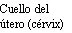 Black text on white background reading 'Cervix (cervix)' in Spanish