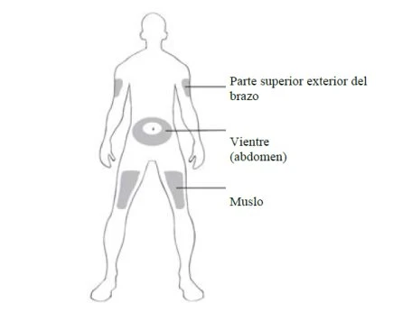Schema del corpo umano con zone evidenziate in grigio su braccio superiore, addome e coscia con relative etichette descrittive in spagnolo
