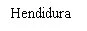 Black text with the drug name Hendidura written in serif font on a white background