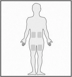 Silhouette stilizzata di un corpo umano in piedi con quattro aree rettangolari grigie evidenziate sull