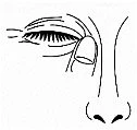 Disegno lineare di un occhio chiuso con ciglia folte e un dito che preme delicatamente sulla palpebra vicino al ponte del naso