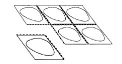 Black and white schematic drawing of five rectangular blister packs containing oval pills arranged in two separate rows