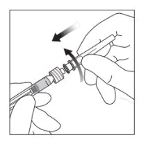 Two hands hold a syringe and rotate the top part counterclockwise following the direction indicated by a black curved arrow