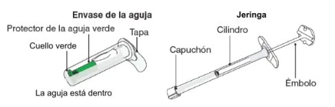 Diagramma medico che mostra un contenitore per aghi con protezione verde e una siringa con cilindro, tappo ed embolo separati