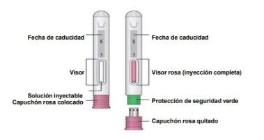 Diagram of two injection pens with Spanish labels indicating expiration date, sight window, injectable solution, pink cap, and green protective cap