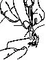 Black line drawing showing a hand holding a syringe to perform an