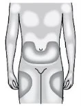 Diagram of the male human body with gray areas highlighted on the chest, on the