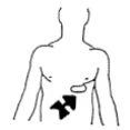Disegno schematico del busto umano con una freccia nera spessa che indica la zona dell