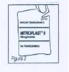 Disegno tecnico di una confezione di Nitroplast 5 milligrammi con la scritta 'cerotto transdermico' e la dicitura VA transdermica