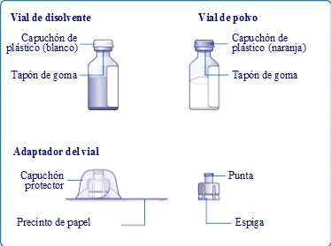 Diagramma medico con due flaconi, uno con liquido e uno con polvere, con etichette che indicano cappuccio di plastica, tappo di gomma e adattatore
