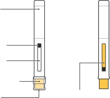 Technical diagram of two medical injection pens with reference lines indicating internal and external components of the device