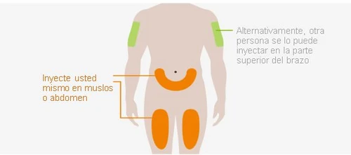 Human body diagram with areas highlighted in green on the arms and in orange on the