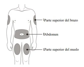 Diagramma del corpo umano con aree grigie che indicano la parte superiore del braccio
