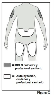 Human body diagram with gray areas on the arms and white areas on the