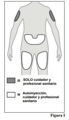 Diagramma del corpo umano con zone grigie sulle braccia per uso professionale e zone bianche su addome e cosce per autoiniezione