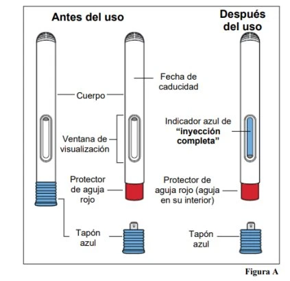 Schema di un dispositivo medico con corpo, finestra di visualizzazione, protezione dell'ago