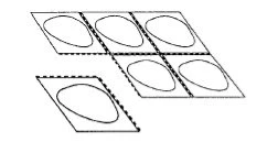 Black and white technical drawing of six rectangular compartments with dashed borders and oval shapes inside