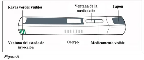 Diagram of a medical device with labels indicating green strips, status window, body, medication window, and cap