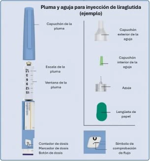 Medical diagram with a pen for liraglutide injection and its separate components such as cap, needle, inner shield, tab, and flow check symbol