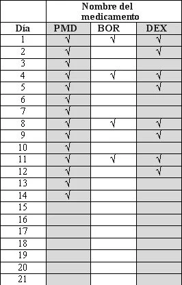 Медицинская таблица с колонками PMD, BOR и DEX, в которой указаны дни с 1 по 21 с галочками, обозначающими введение лекарственных препаратов