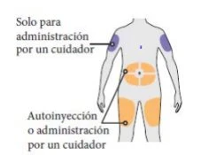 Diagram of a human body with blue areas on arms and orange on