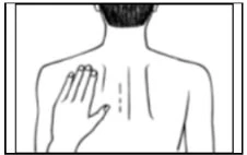 Disegno in bianco e nero del busto di una persona vista di schiena con una mano appoggiata sulla parte superiore della colonna vertebrale